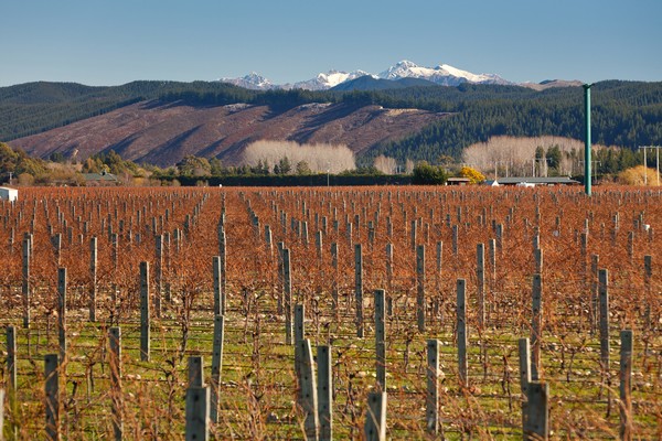 Gravitas vineyard &#8211; sold for more than $2million and staying in New Zealand ownership.